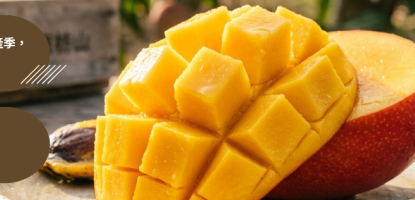【預購開啟】封存屏東枋山的烈日：炎果 ANGUO 頂級愛文芒果，限時預約仲夏的紅寶石