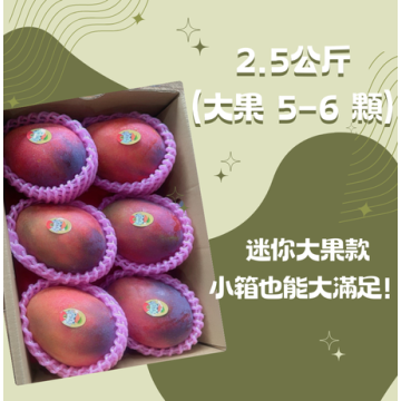 【炎果】屏東枋山愛文芒果｜2.5公斤（大果 5–6 顆）