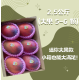 【炎果】屏東枋山愛文芒果｜2.5公斤（大果 5–6 顆）