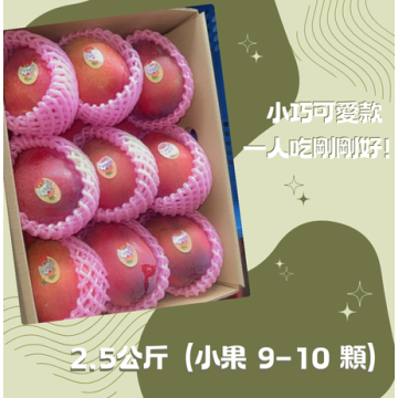 【炎果】屏東枋山愛文芒果｜2.5公斤（小果 9–10 顆）