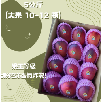 【炎果】屏東枋山愛文芒果｜5公斤（大果 10–12 顆）