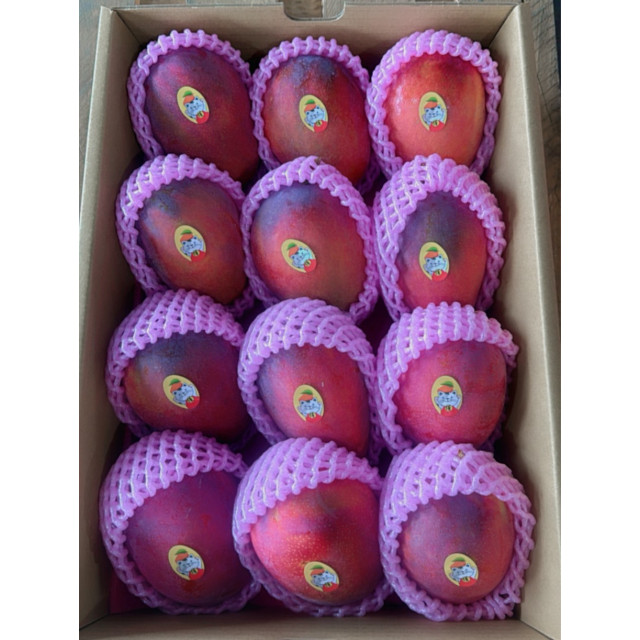 【炎果】屏東枋山愛文芒果｜5公斤（大果 10–12 顆）