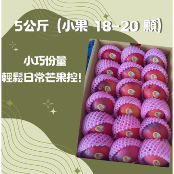 【炎果】屏東枋山愛文芒果｜5公斤（小果 18–20 顆）