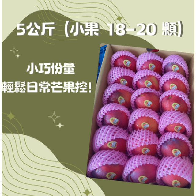 【炎果】屏東枋山愛文芒果｜5公斤（小果 18–20 顆）