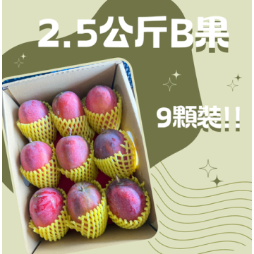 【炎果B果】2.5斤9顆