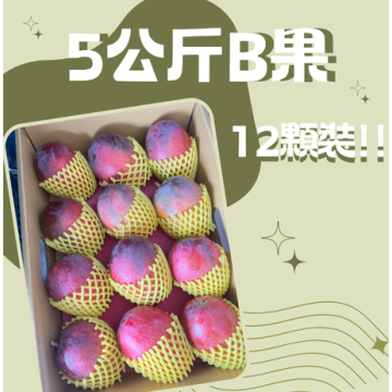 【炎果B果】5公斤12顆