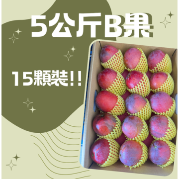 【炎果B果】5公斤15顆