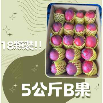 【炎果B果】5公斤18顆
