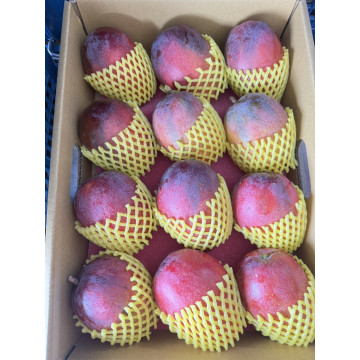 預購中!!!!  職人選・微光日常【大禮盒】