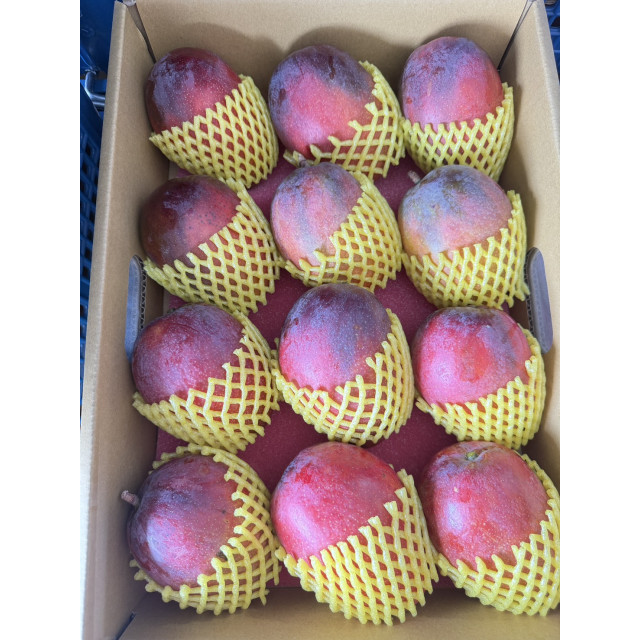 預購中!!!!  職人選・微光日常【大禮盒】