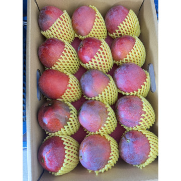 預購中!!!!  職人選・微光日常【大禮盒】