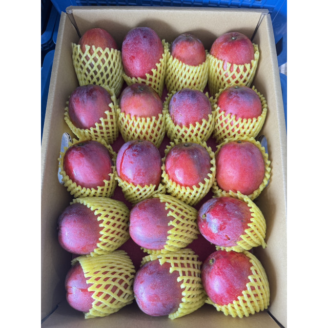 預購中!!!!  職人選・微光日常【大禮盒】