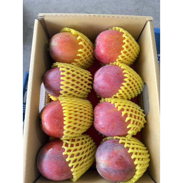 預購中!!!!  職人選・微光日常【小禮盒】