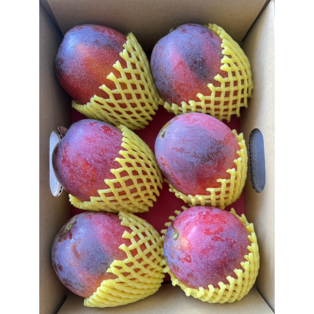 預購中!!!!  職人選・微光日常【小禮盒】