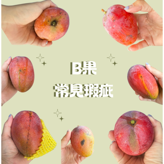 【炎果B果】5公斤15顆